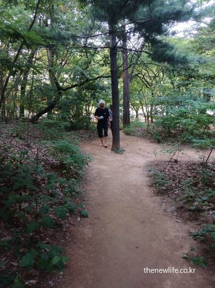 서울 맨발 걷기 좋은 곳 – 서울 어린이대공원의 조용한 숲속 흙길을 맨발로 걷는 남성, 스트레스 완화와 정서적 안정 효과를 위한 걷기