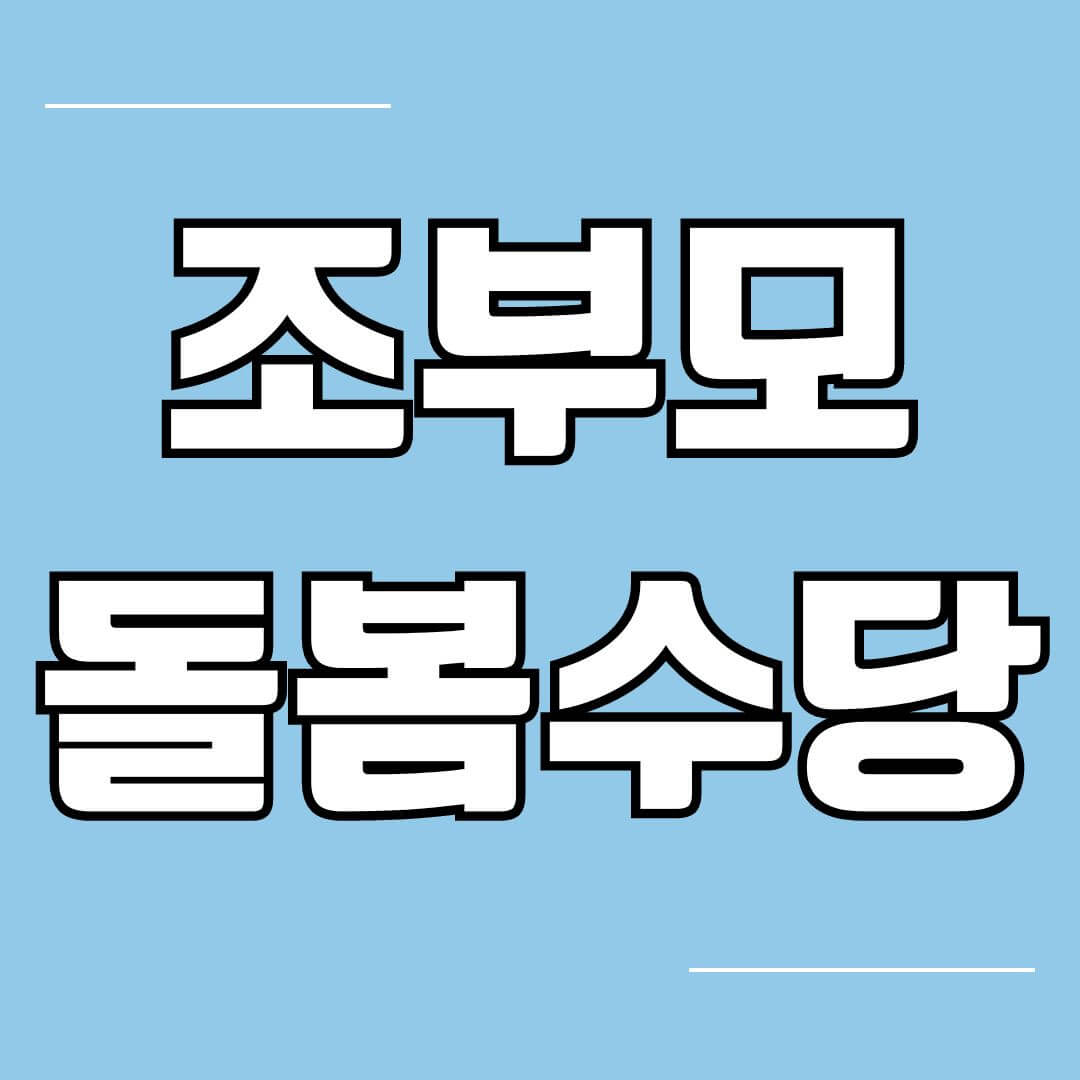 서울형 아이돌봄비 신청방법