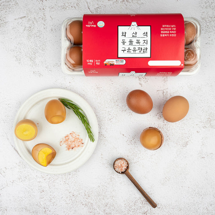 생방송투데이 제주 달걀 공장