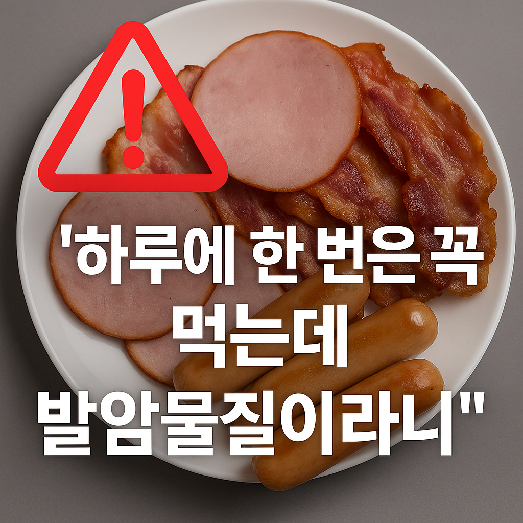 “가공육 및 아질산염 보존제의 위험을 경고하는 이미지”