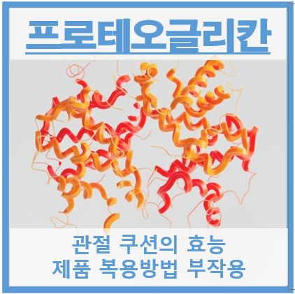 프로테오글리칸 썸네일
