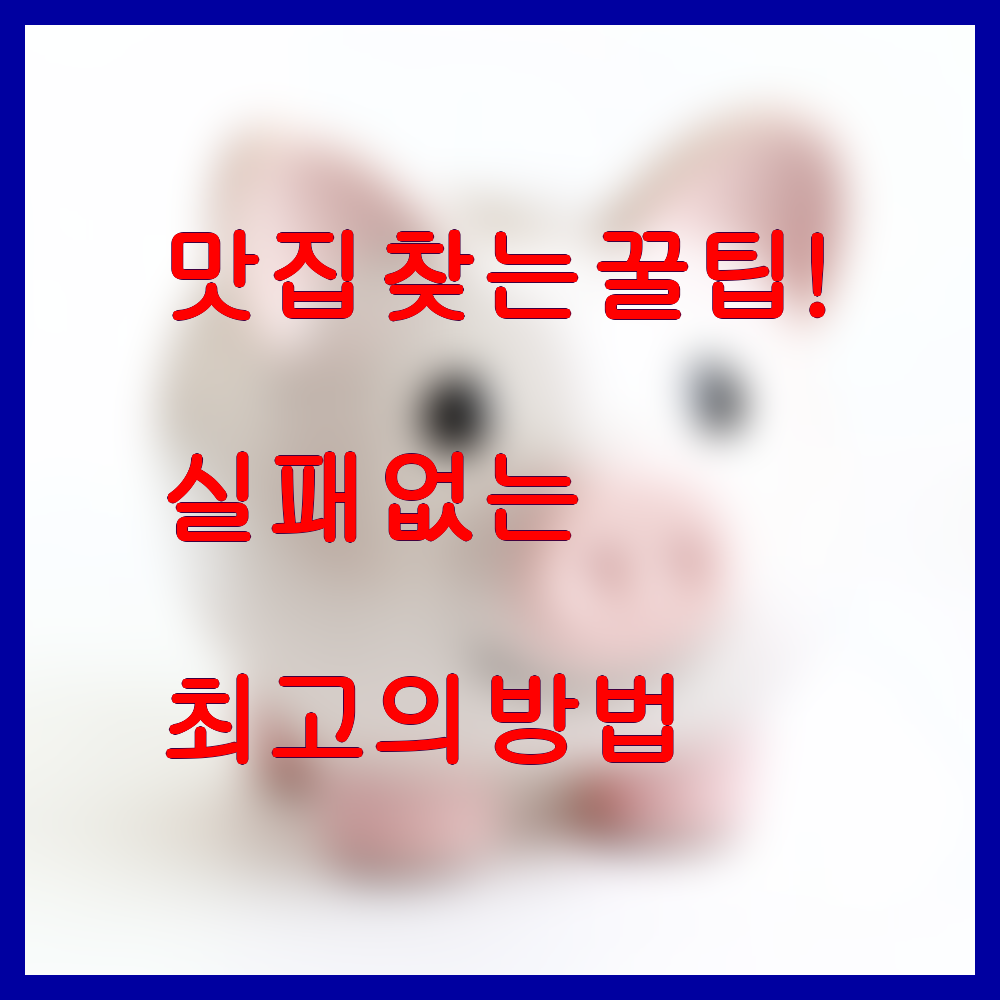 맛집 찾는 꿀팁 실패 없는 최고의 방법