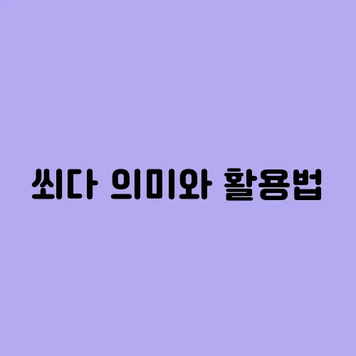 쐬다 의미와 활용법
