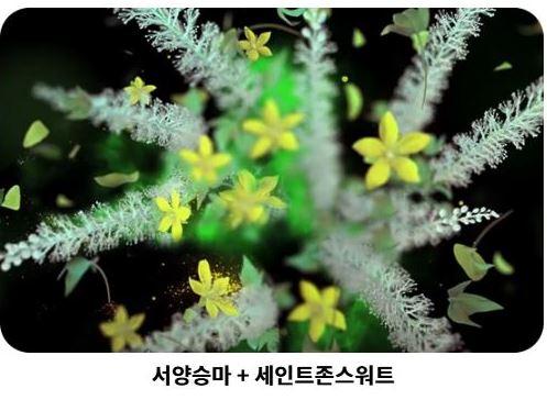 갱년기 영양제 훼라민큐
