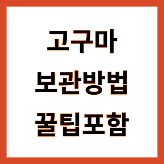 고구마 보관방법
