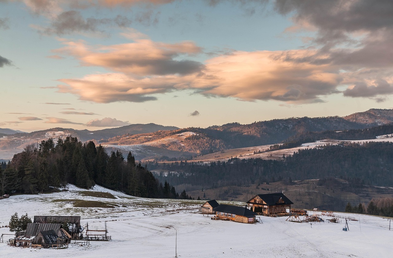 직장인 겨울 스키 여행 한산한 날짜 추천