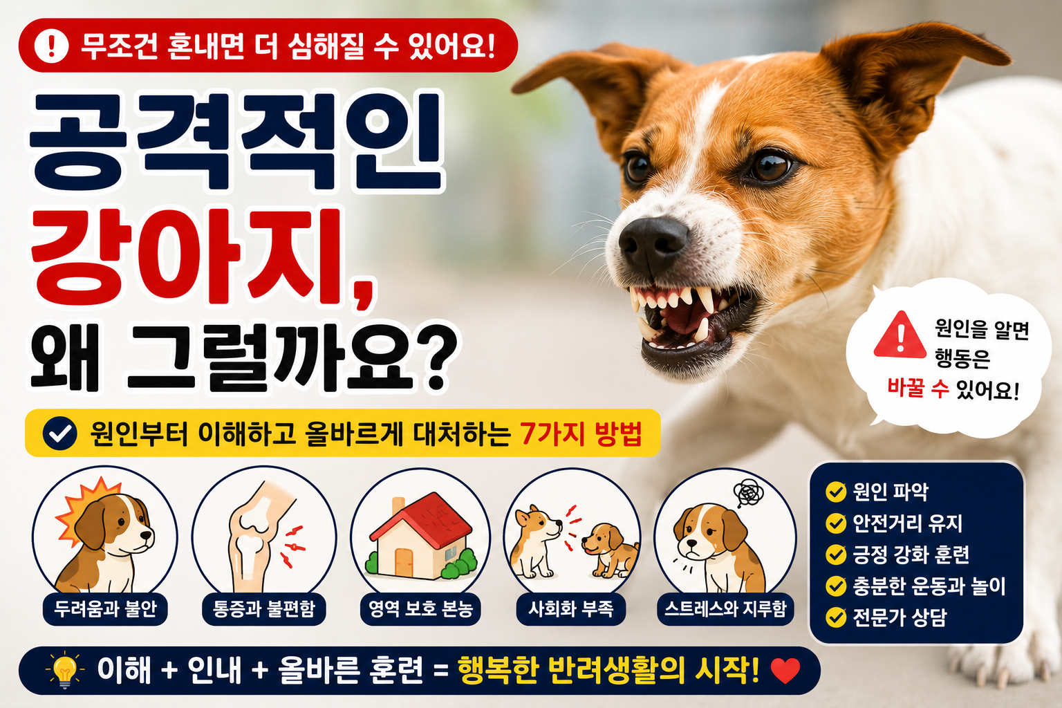 공격적인 강아지, 왜 그럴까요?｜원인과 올바른 대처 방법 7가지