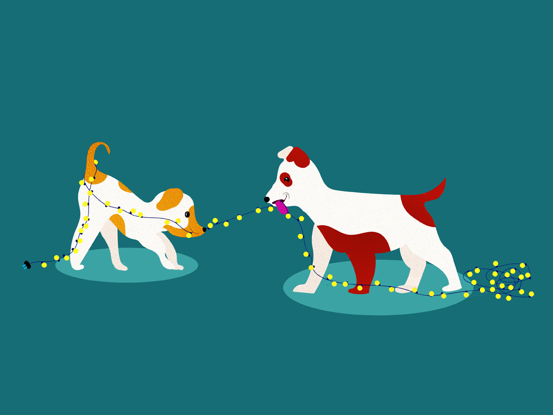 25년 5월 16일 말씀 카드 성경구절 : 나를 통하지 않고서는 아무도 아버지께 갈 수 없다. (요한 14,6)