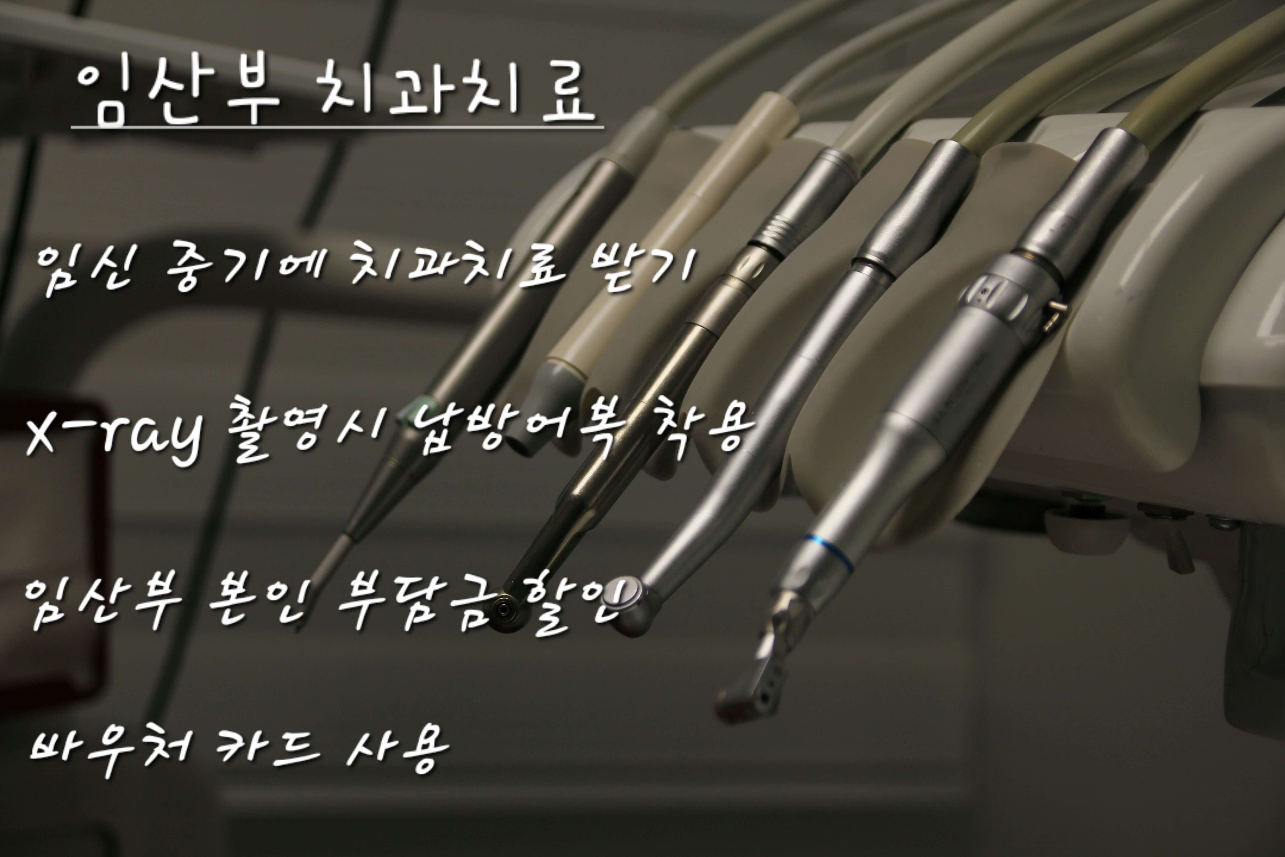 임산부 치과치료