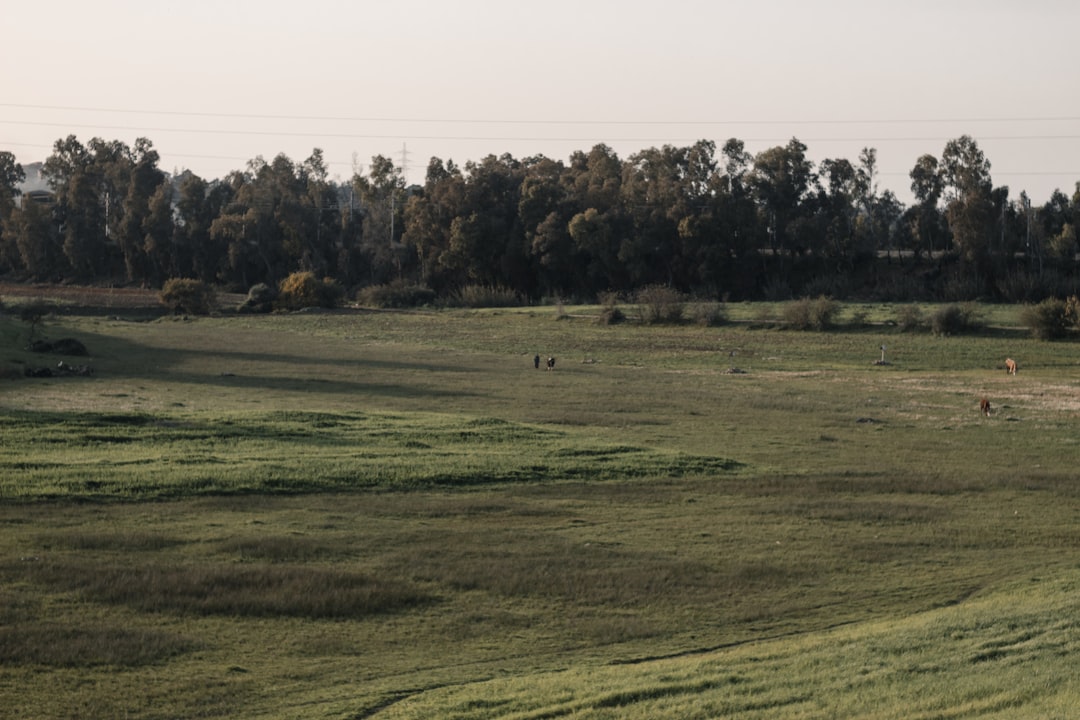 'Land'