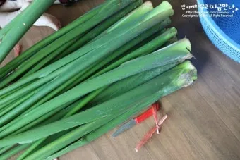 토란대 손질방법 말리는 방법을 정리_19