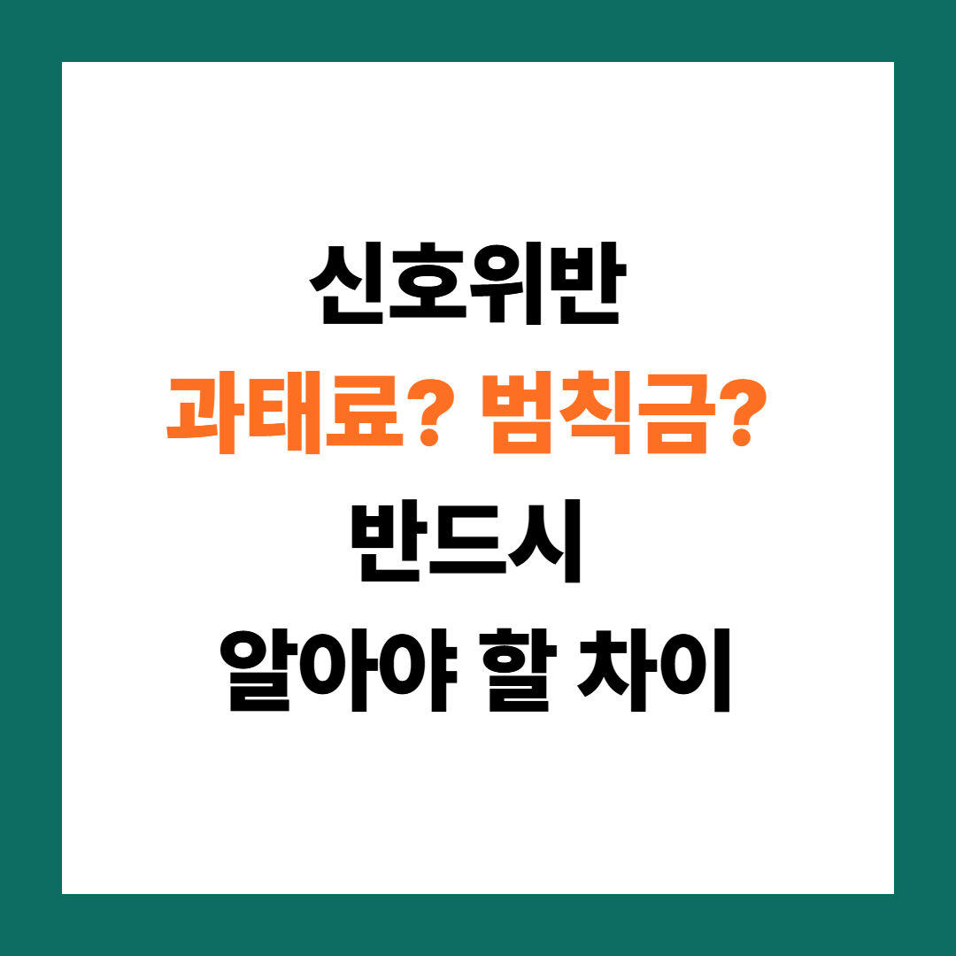 과태료 vs 범칙금 차이, 벌점 때문에 선택이 달라진다