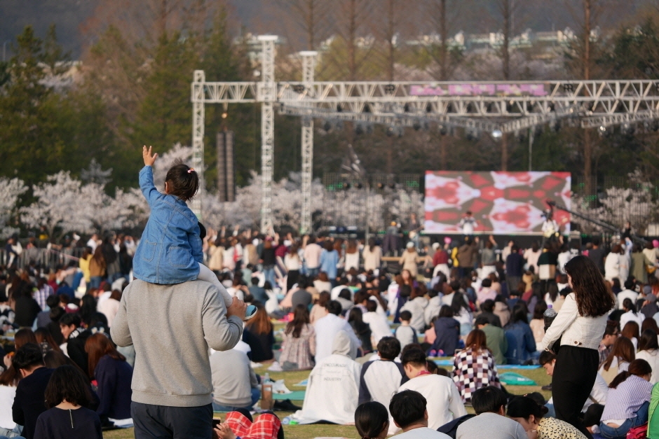 대덕물빛축제 기본일정과 프로그램 소개
