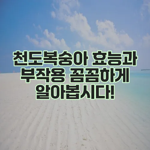 천도복숭아 효능과 부작용 꼼꼼하게 알아봅시다!
