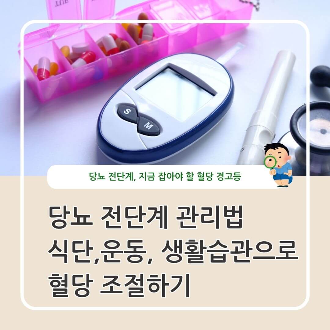 당뇨 전단계 관리법 : 식단, 운동, 생활습관