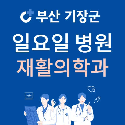 부산-기장군-일요일-재활의학과-진료하는곳-주말에-문여는-기장군-24시간-재활의학과-찾기
