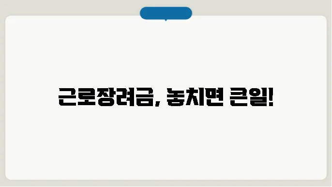 근로장려금 신청 못하면 어떻의 결반