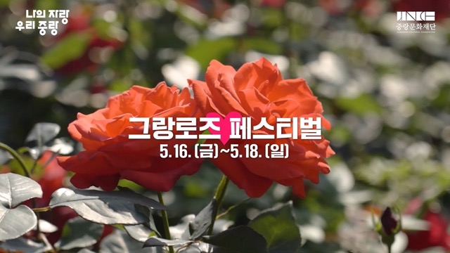 중랑 서울 장미축제 일정