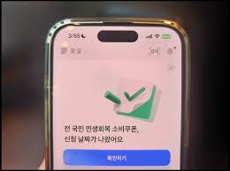 민생회복소비쿠폰KB국민34