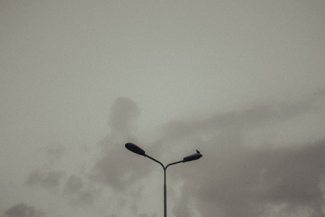Aesthetics