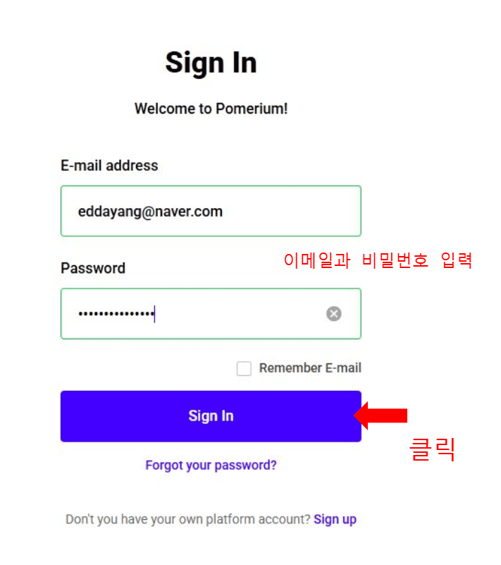포메리움 비밀번호찾기 10