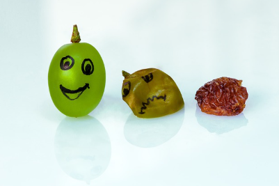 피부 장벽을 지키기 위한 키 포인트!