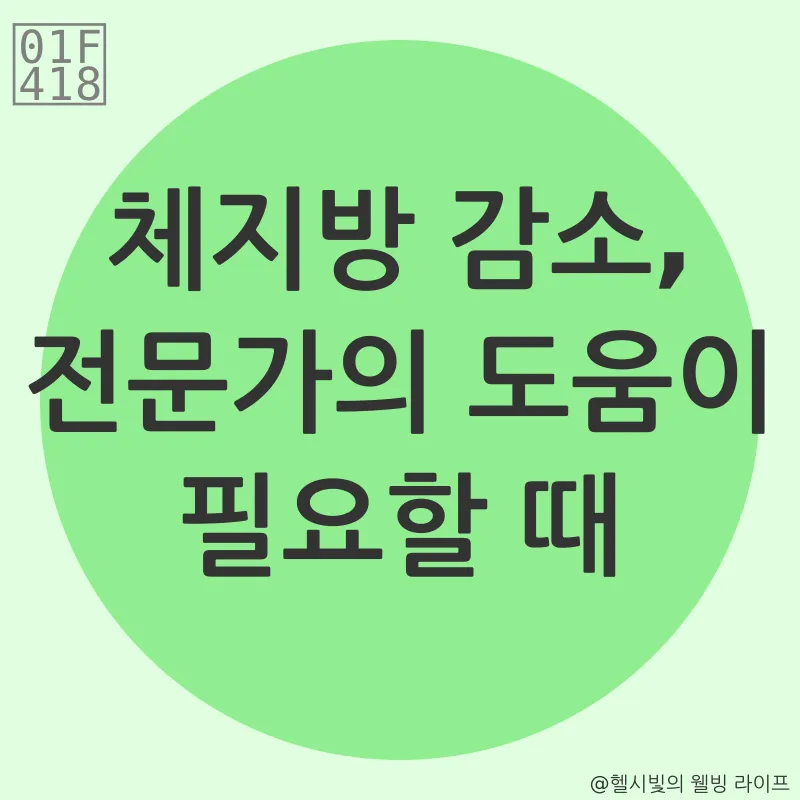 체지방 감소_3