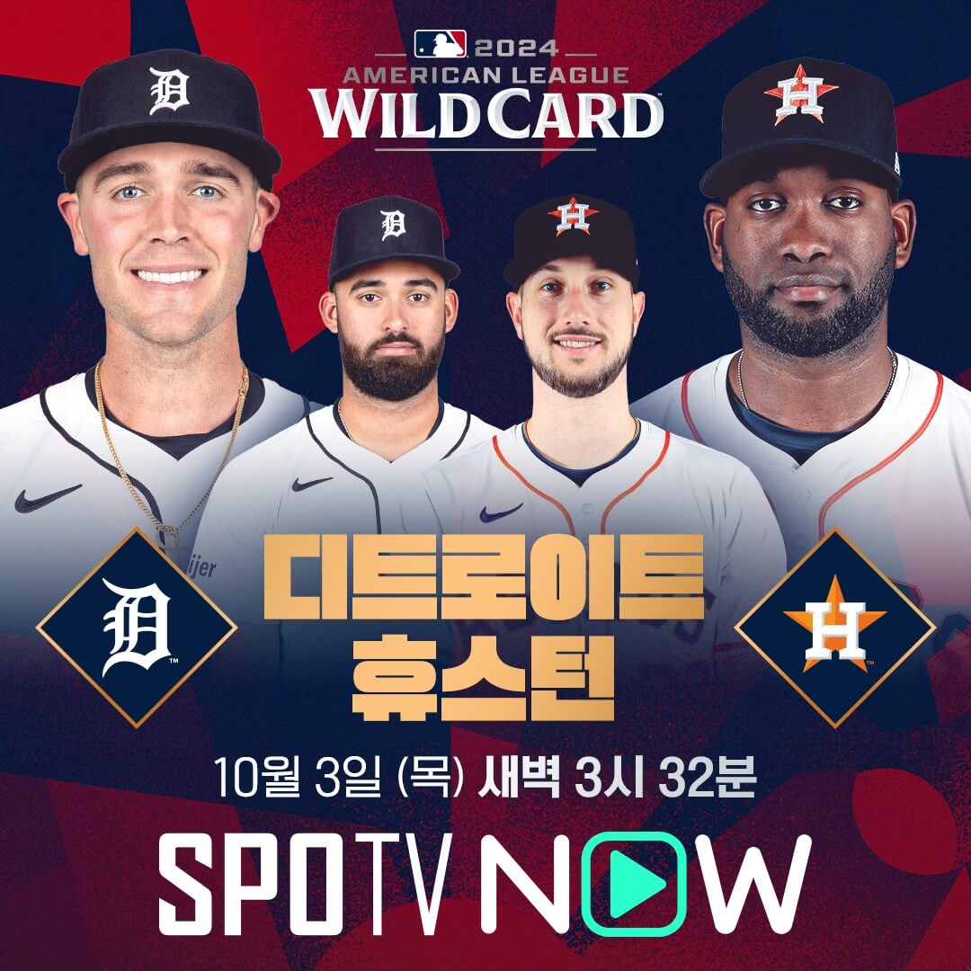 디트로이트 휴스턴