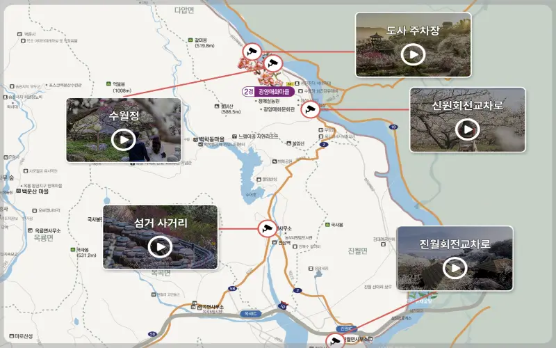 광양 매화축제_5