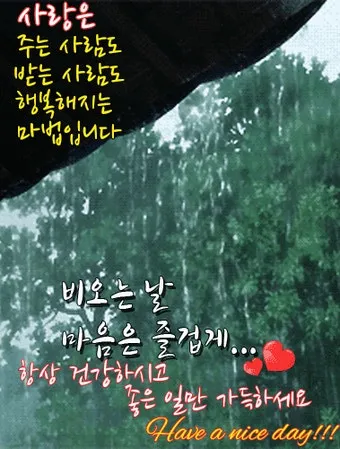 비오는날 안부 인사 건강 챙기는 말 안전 운전 당부 문장_24