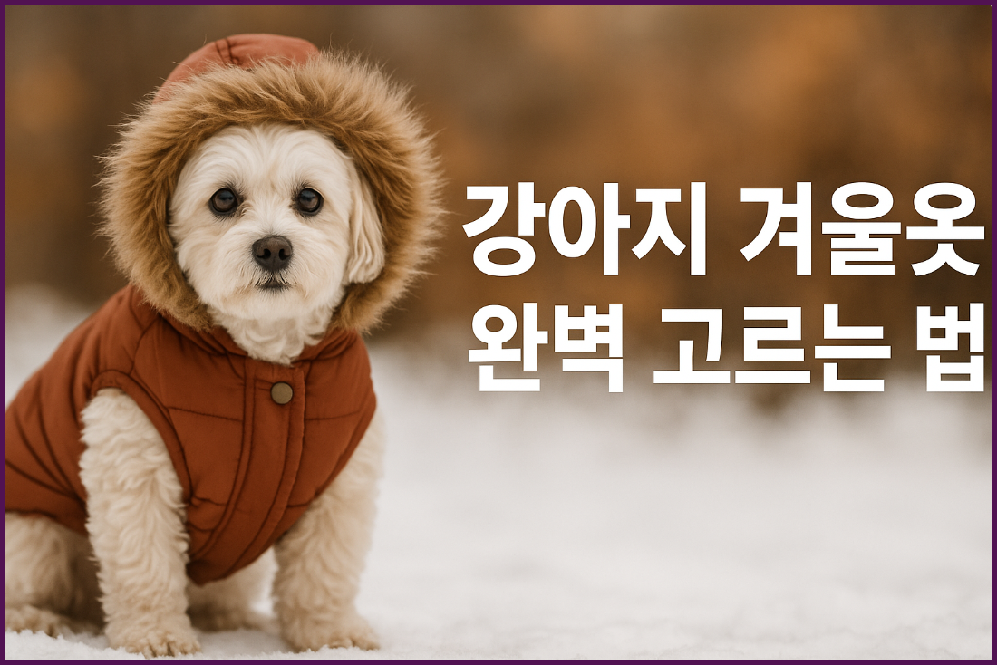 강아지 겨울 옷 고르는 법