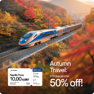코레일 가을여행 관광열차 50%할인 + 내일로패스 1만원 할인 이미지