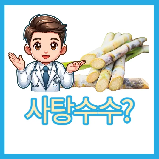 "사탕수수 폴리코사놀"