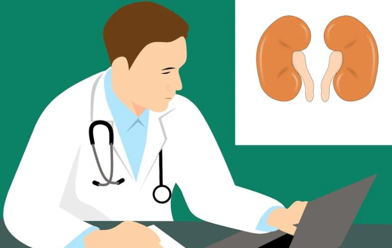 여성방광염증상