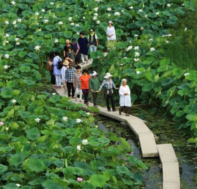2025 양평 세미원 연꽃축제
