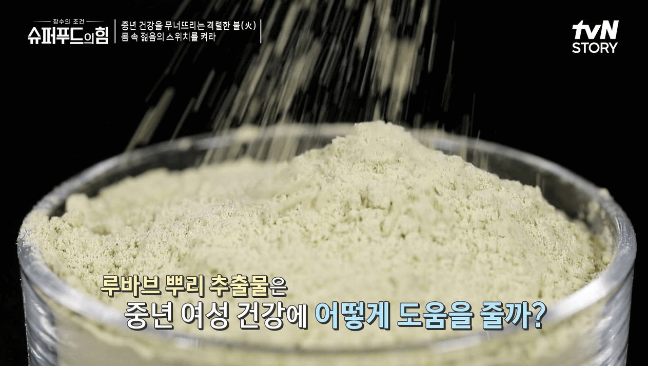 건강프로그램에서-홍보하는-루바쁘-뿌리-추출물-분말-가루가-담긴-그릇