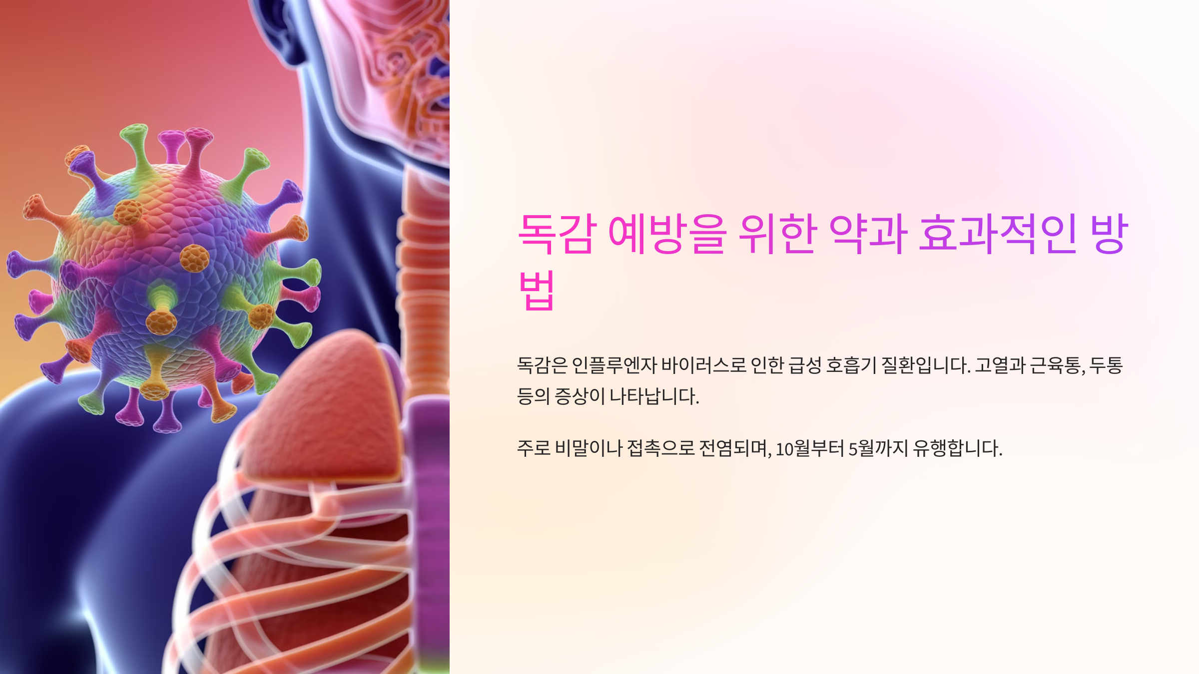 독감 예방을 위한 가이드