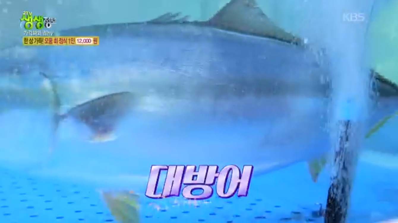 생생정보 가격파괴why 모둠회정식 인천 서구