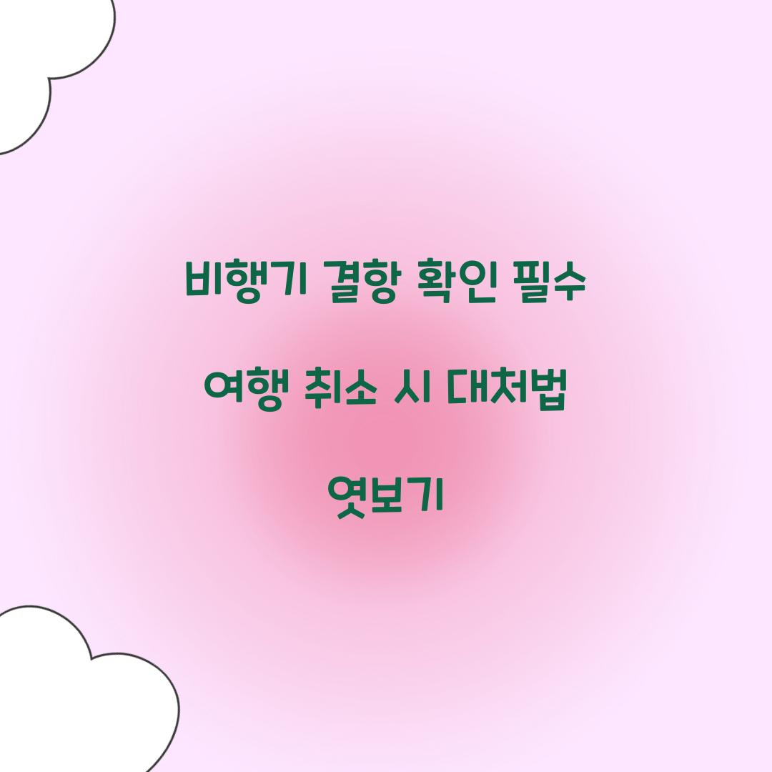 비행기 결항 확인