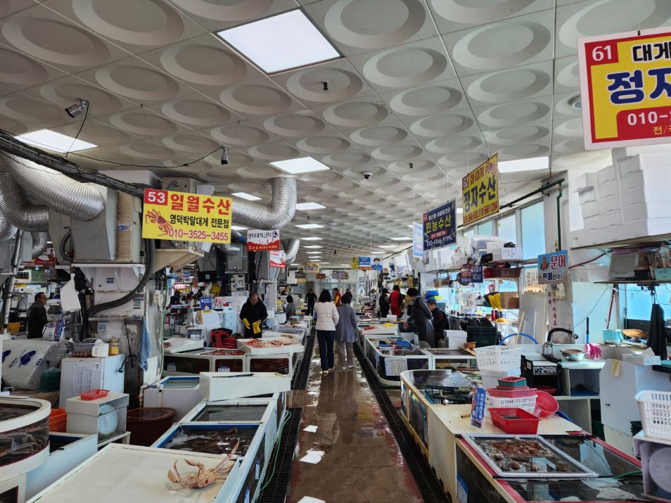 강구항