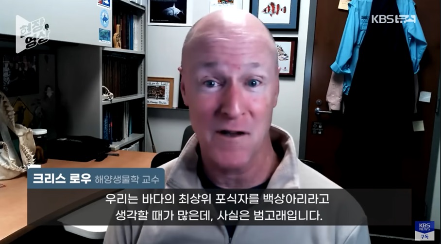 고래의 상어 포식 행위