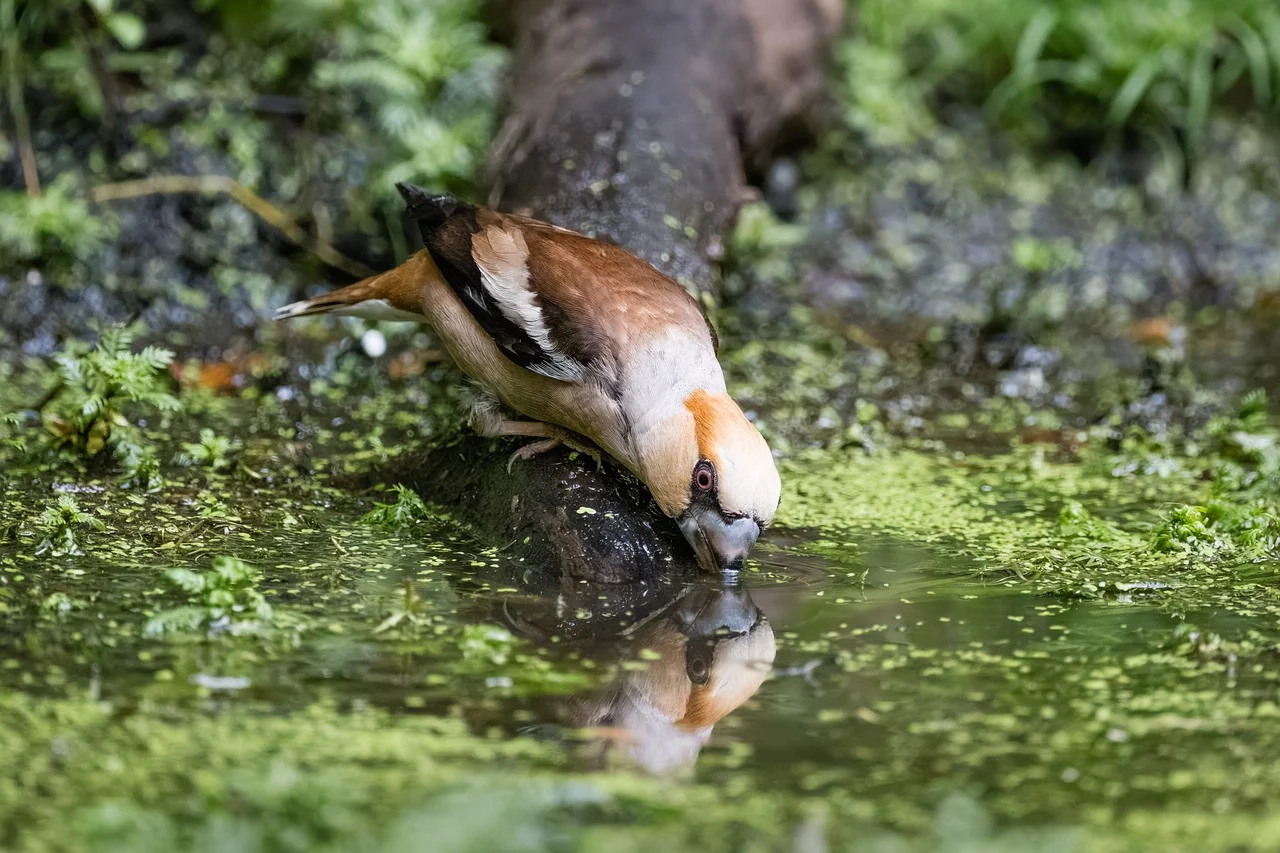  노후경유차 조기폐차 지원금