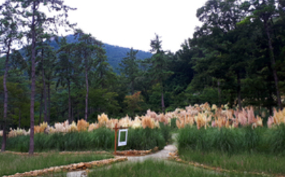 전남 해남 포레스트수목원 수국축제 입장료 주차 가는길