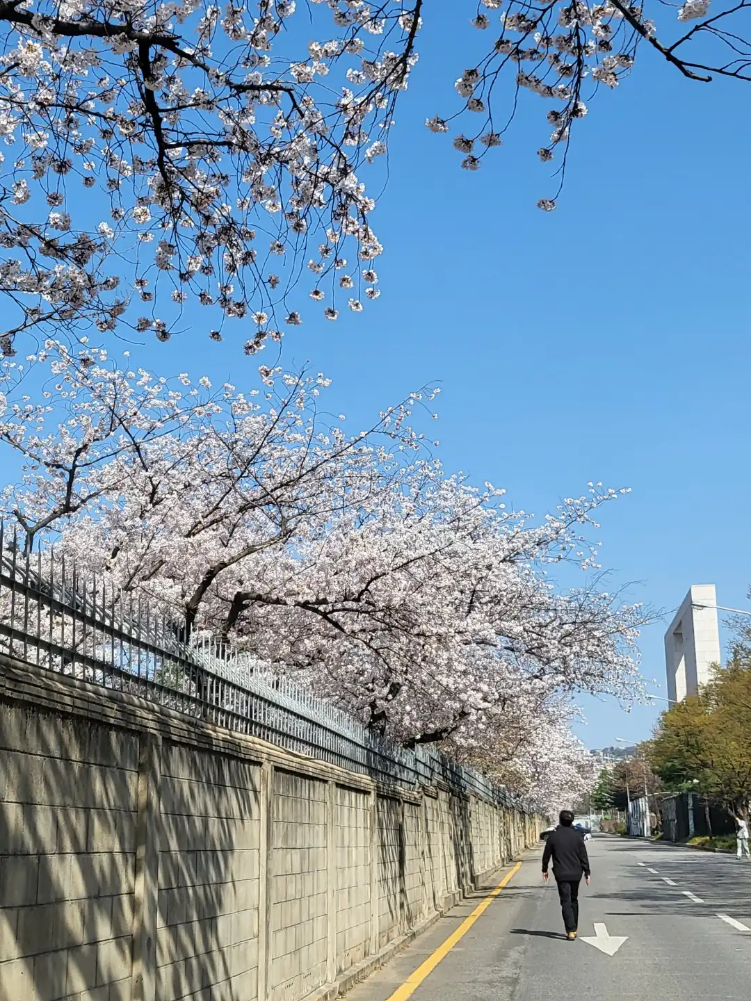 전쟁기념관2