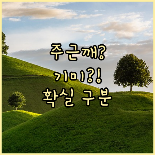 피부과 전문의가 알려주는 주근깨, 기..