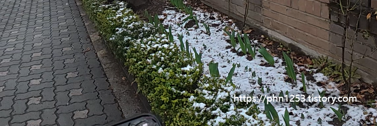 Alt 속성 문제 해결 설명 이미지