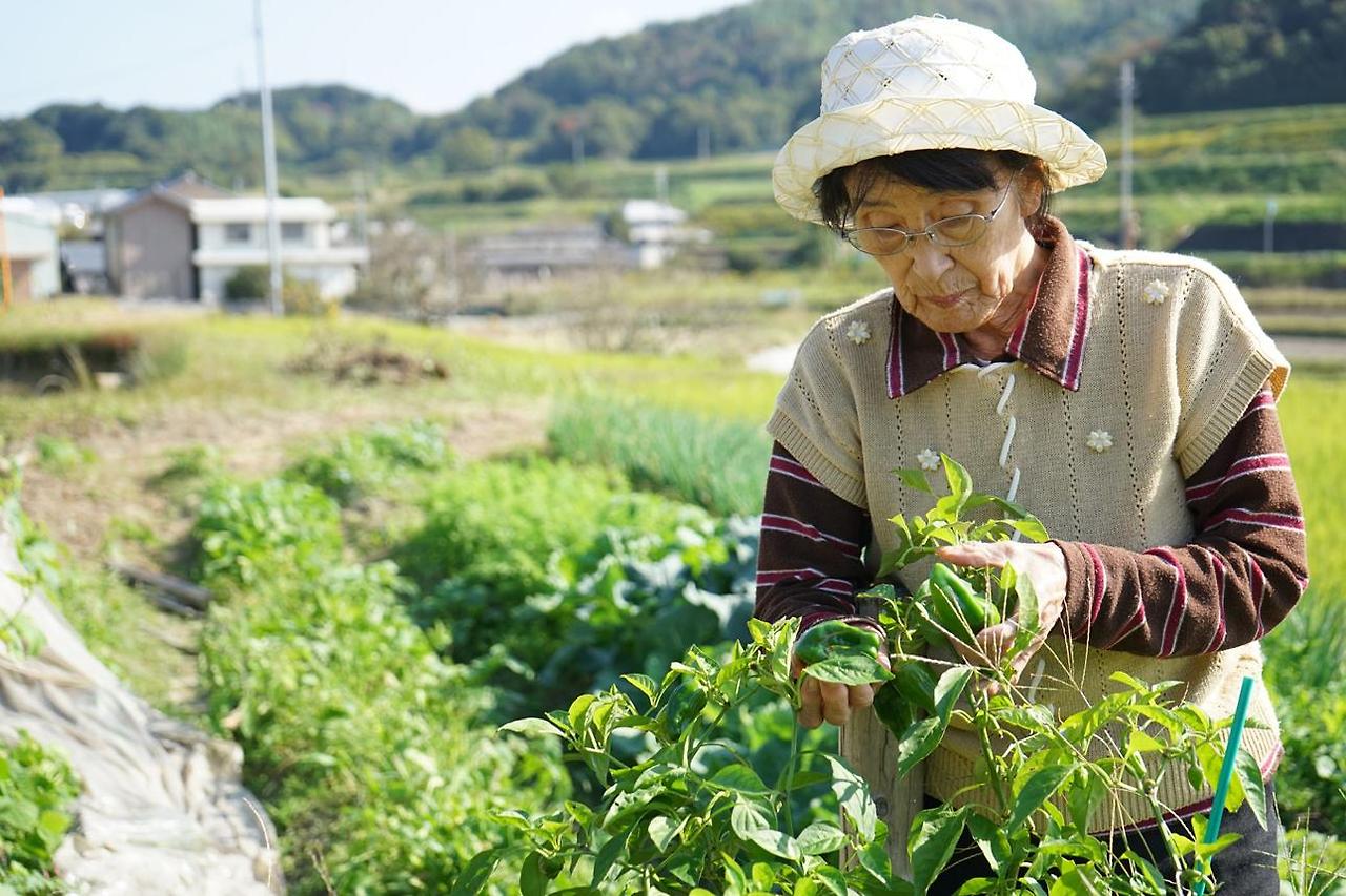 작은 텃밭이 가르쳐 주는 기다림
