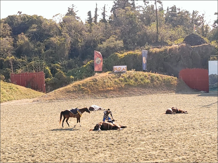 더마파크-기마공연5