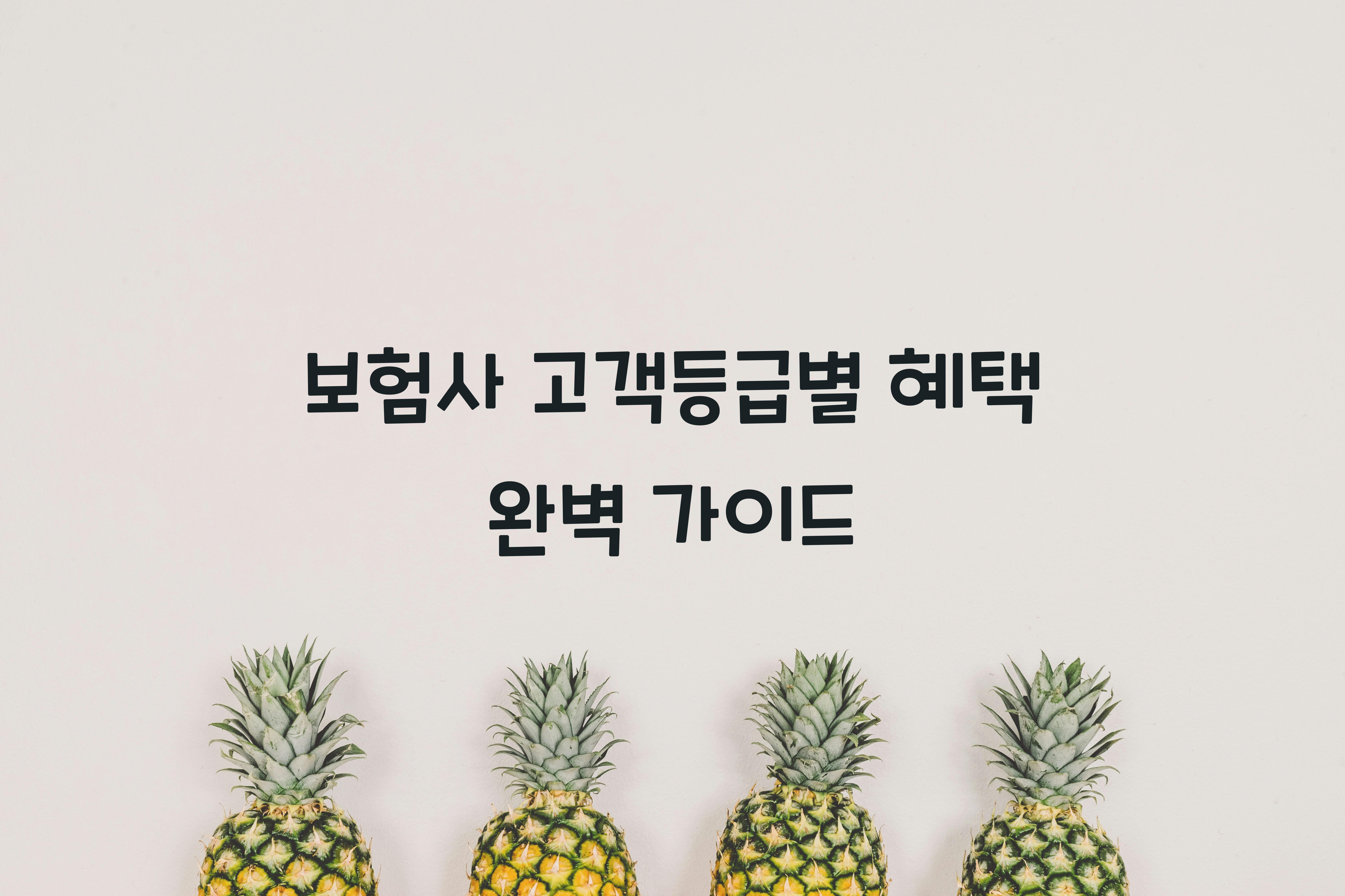 보험사 고객등급별 혜택