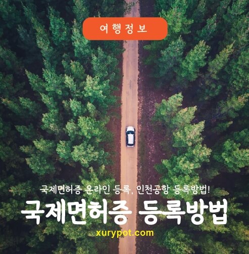 국제운전면허증 발급방법